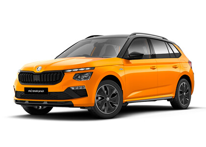 Ворсовые коврики на Skoda Kamiq (Европа) 2019&nbsp;-&nbsp;2026 в Ростове-на-Дону