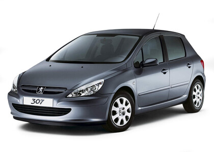 Ворсовые коврики на Peugeot 307 2001 - 2008 в Ростове-на-Дону