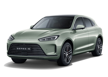 Ворсовые коврики на Seres M5 2021 - 2025 в Ростове-на-Дону