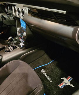 Ворсовые коврики на Ford Mustang VI 2013 - 2023 в Ростове-на-Дону Ворсовые коврики на Ford Mustang VI 2013 - 2023 в Ростове-на-Дону