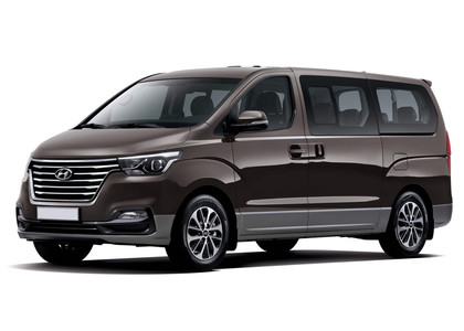 Ворсовые коврики на Hyundai H1 II 2007 - 2022 в Ростове-на-Дону