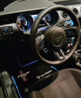 Ворсовые коврики на Ford Mustang VI 2013 - 2023 в Ростове-на-Дону Ворсовые коврики на Ford Mustang VI 2013 - 2023 в Ростове-на-Дону